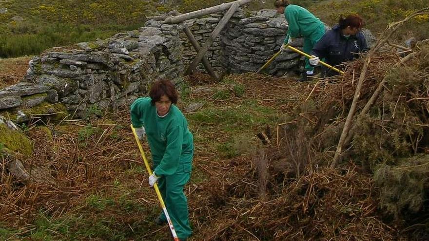 Trabajos de acondicionamiento del Foxo do Lobo.