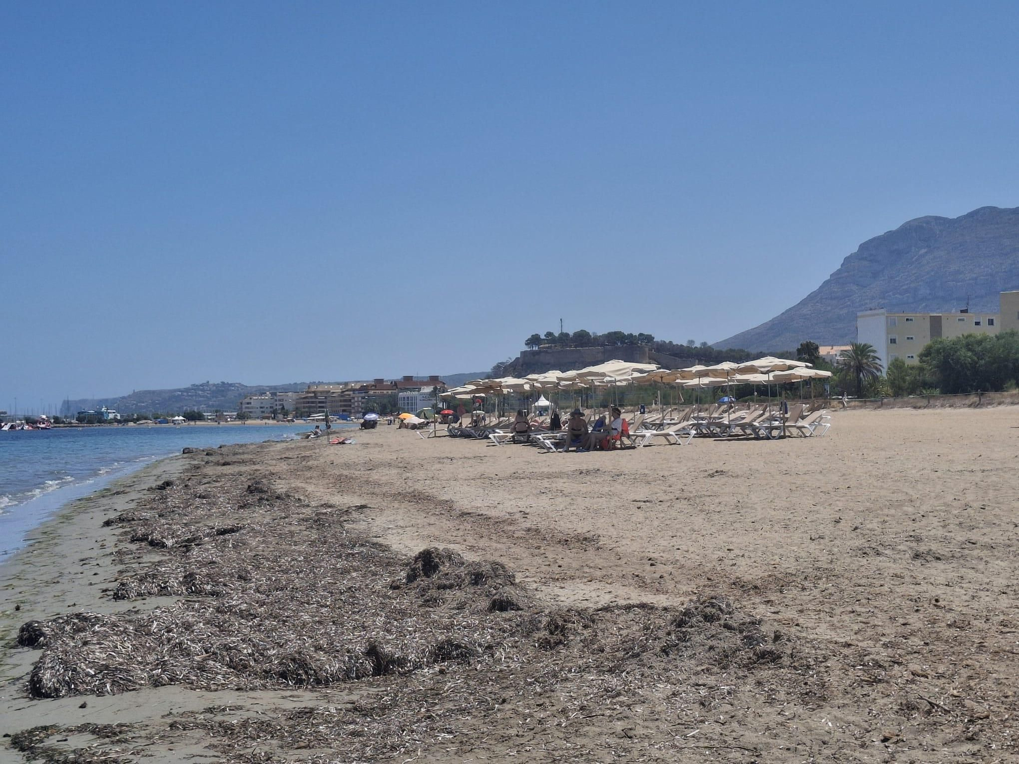 Insólito: playas vacías en Dénia (imágenes)