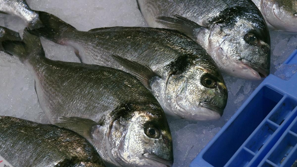 L'orada és un dels peixos amb menys mercuri