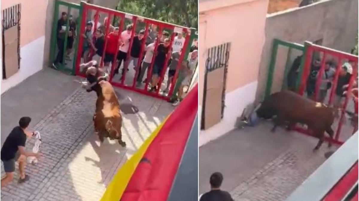 Vídeo: Cogida en los ‘bous’ de la Vall