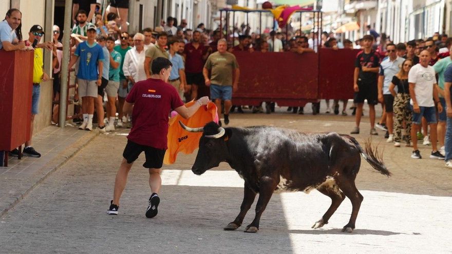 Los encierros de El Viso, en imágenes