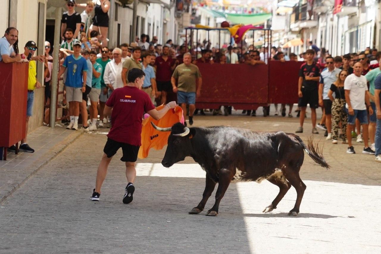 Los encierros de El Viso, en imágenes