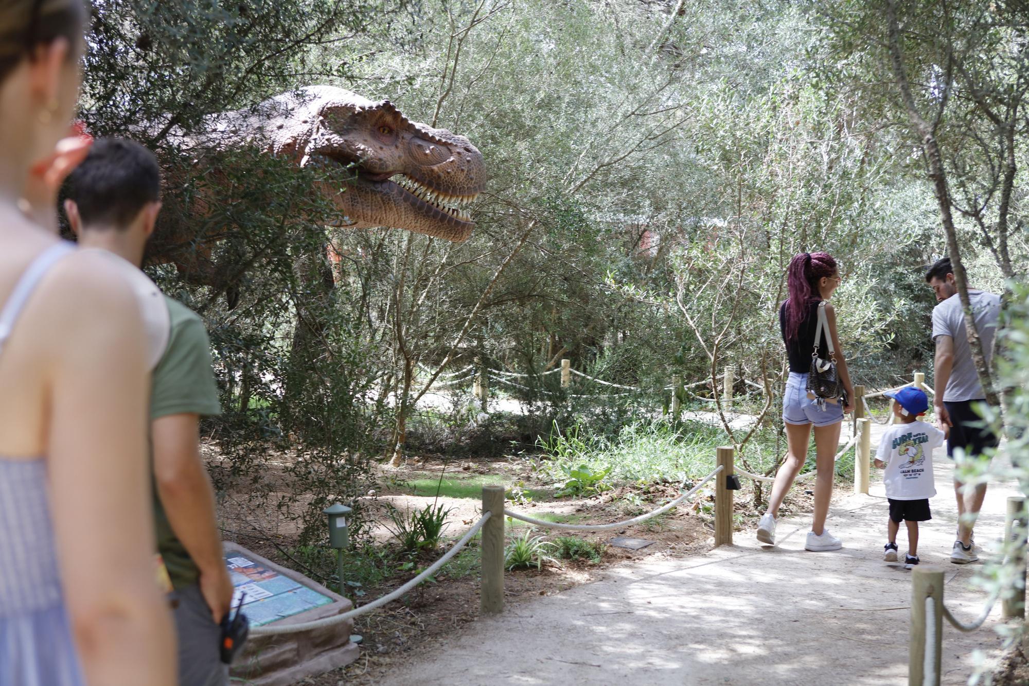 Besuch im neuen Dino-Park auf Mallorca