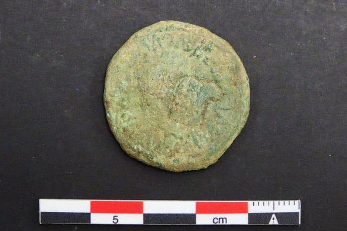 1. Una moneda de bronce con un resello militar.  2. Un trozo de vidrio con motivos florales. 3. Una fíbula (broche para la ropa) de bronce con su aguja intacta.  4. El nuevo foso aparecido en el yacimiento.