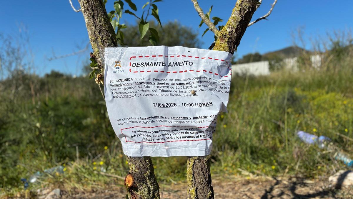 Uno de los avisos del ayuntamiento pegado en unas ramas.