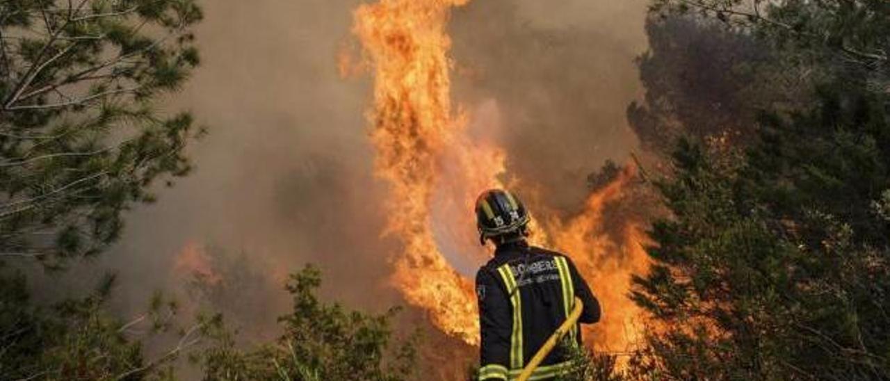 Un bombero, durante los trabajos de extinción del incendio declarado el año pasado en es Cubells, en Eivissa.