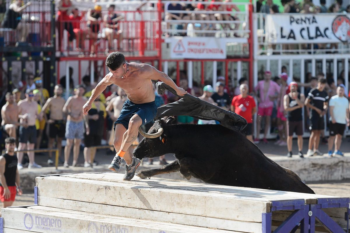 La mayoría de las vacas de Fernando Machancoses han dado muestras de bravura.