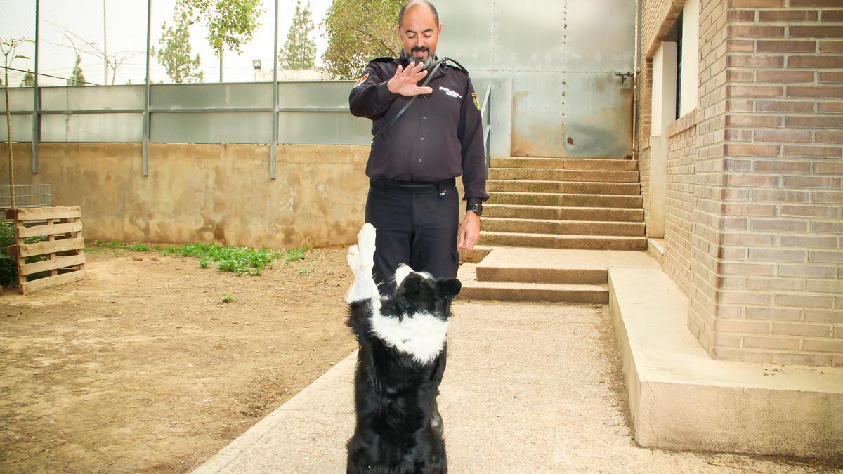 Pedro Roca, en las instalaciones de la Policía con el border collie que forma parte de la unidad.