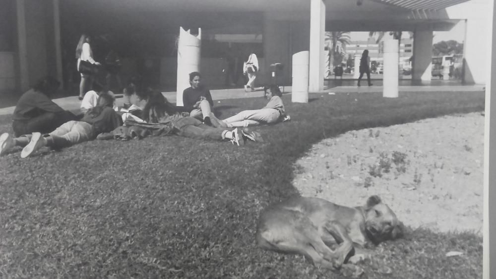 El alumno más perro de la universidad, en 1993