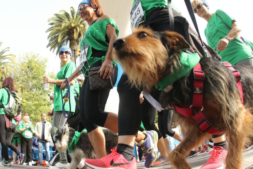 V Carrera de la Mujer de Málaga