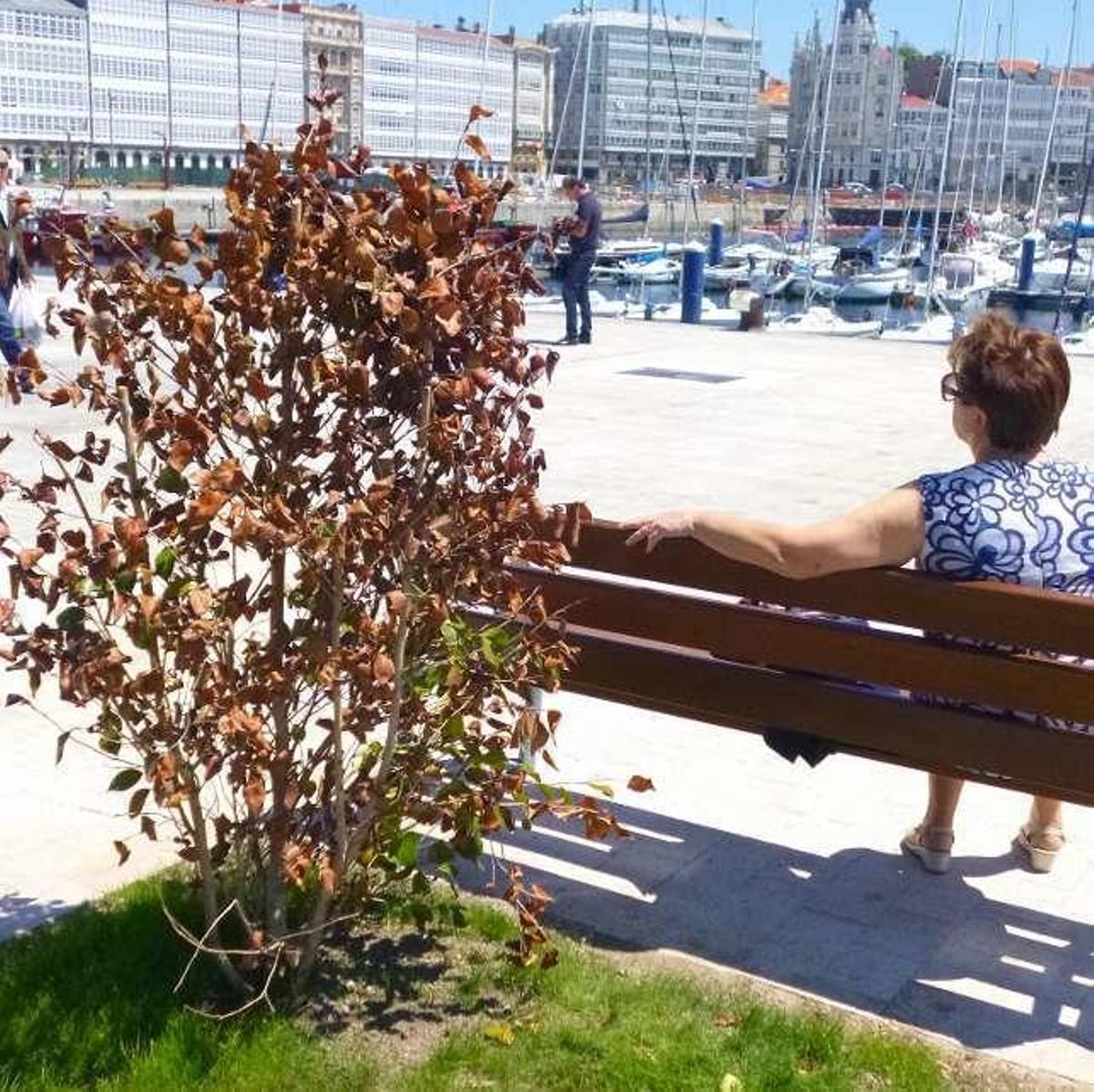 La herencia de la Marina