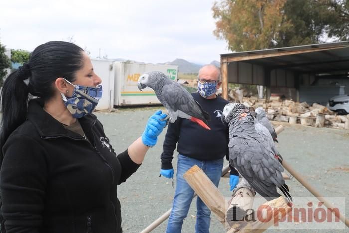 Las Águilas del Sol de Puerto Lumbreras piden ayud