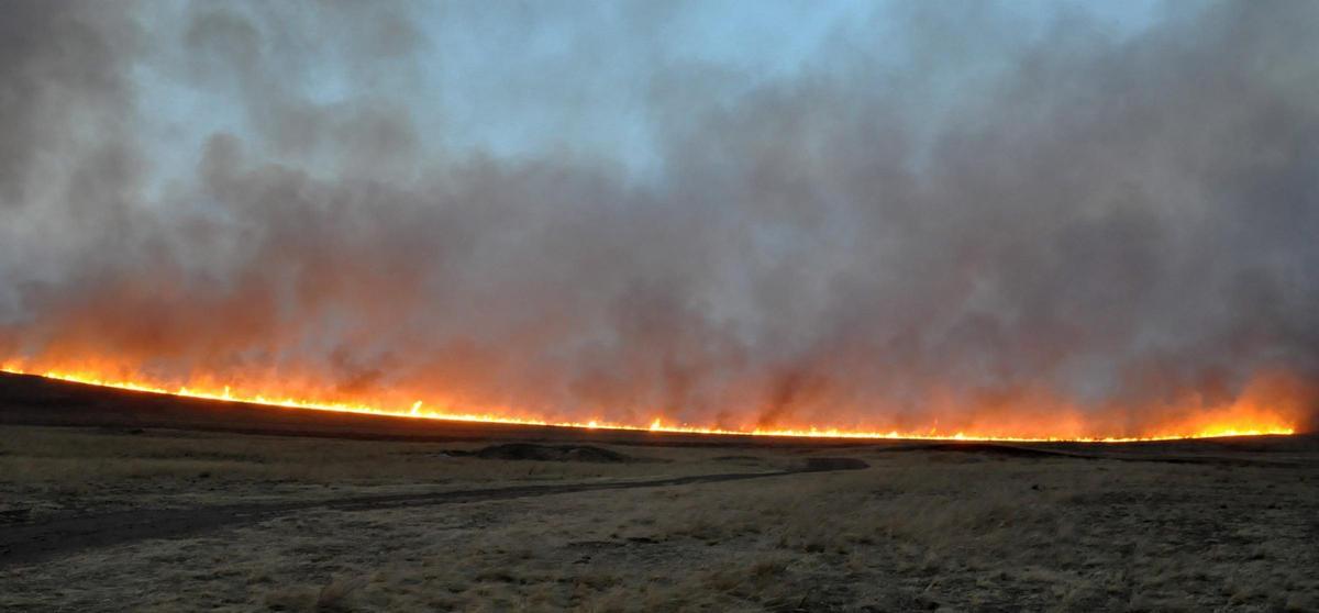 Los incendios vuelven a arrasar regiones árticas este verano