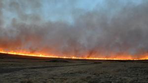 Los incendios vuelven a arrasar regiones árticas este verano