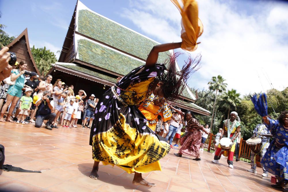 Delia Padrón Inauguración del Lion's Kingdom, la exhibición de los leones africanos, en Loro Parque