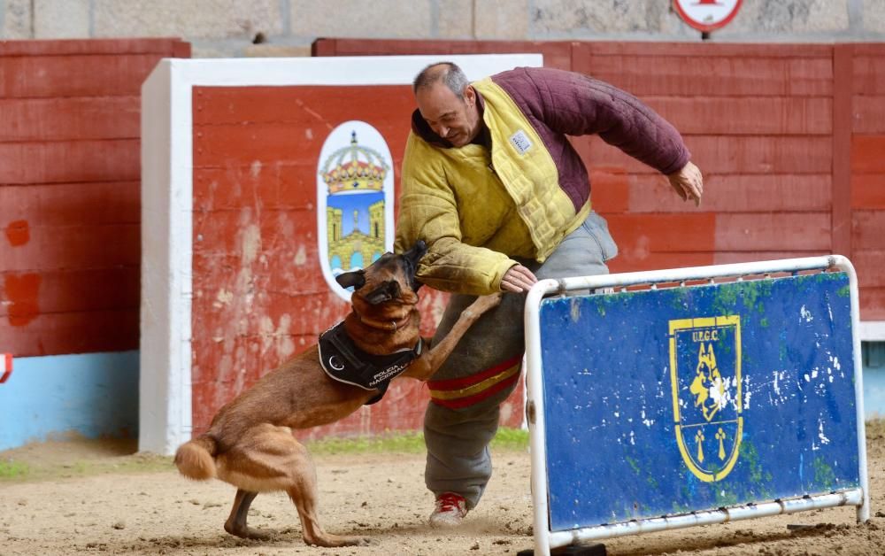 Los niños de Pontevedra descubren cómo es ser un policía nacional