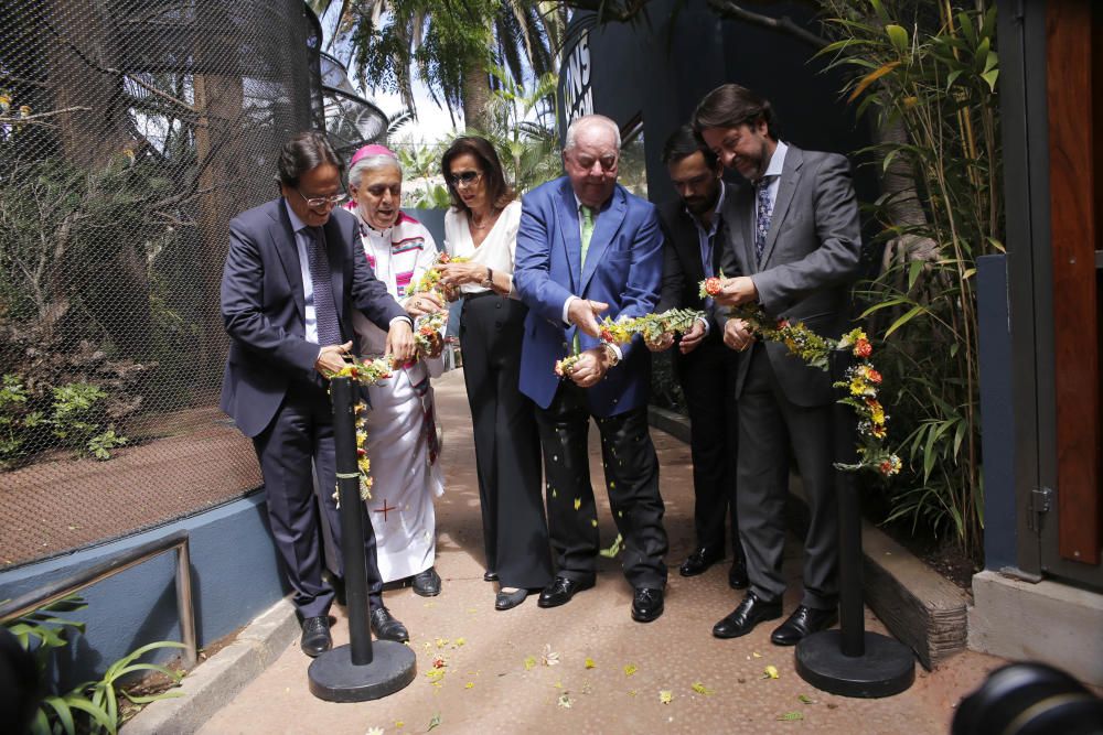 Delia Padrón Inauguración del Lion's Kingdom, la exhibición de los leones africanos, en Loro Parque