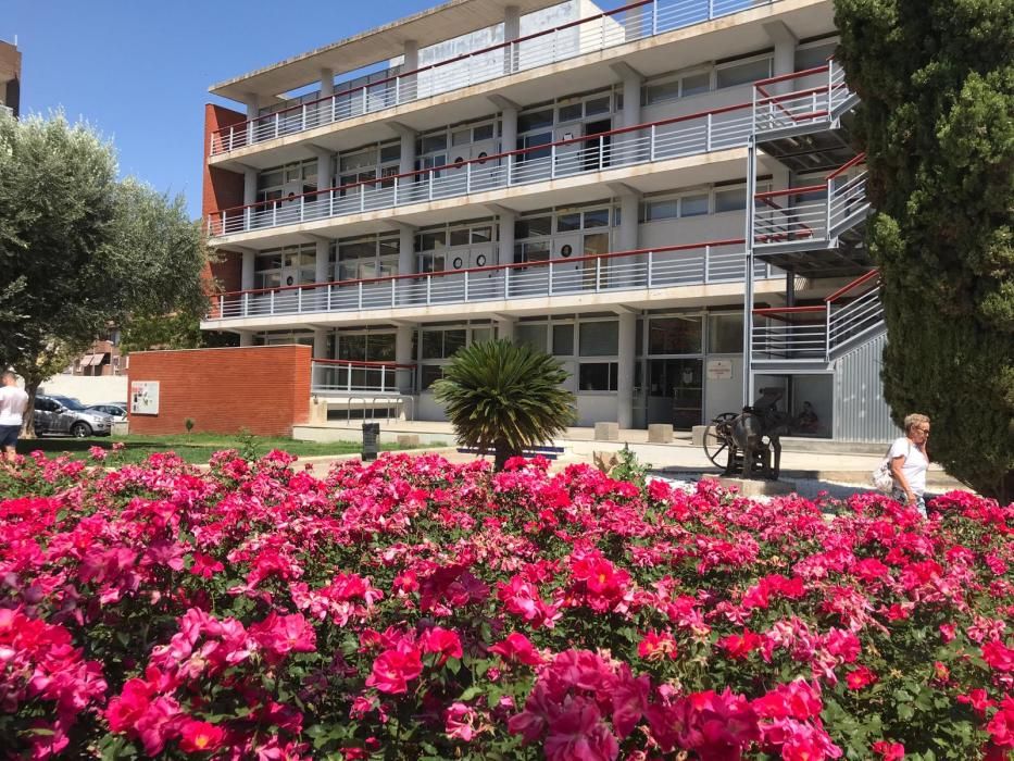 Rosaleda de Alaquàs, frente al Centre l'Olivar, con la variedad "Castell d'Alaquàs".