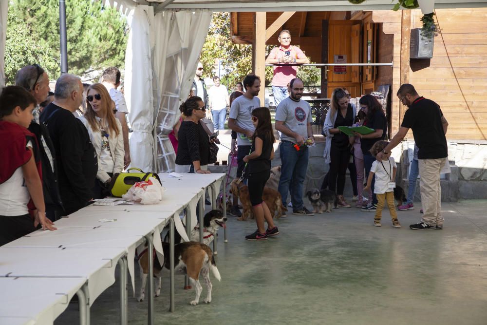 Zamora y sus perros "más guapos"