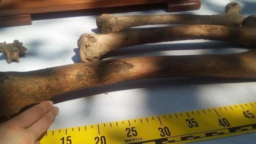 Hallados los restos óseos del gigante de &#039;Handia&#039;