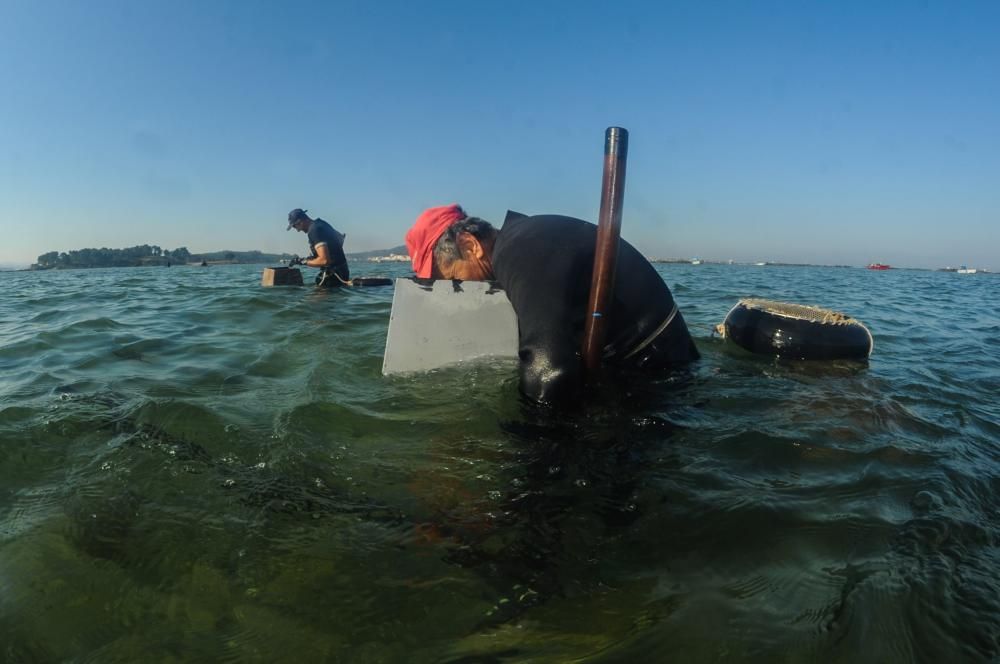 El marisqueo también genera turismo