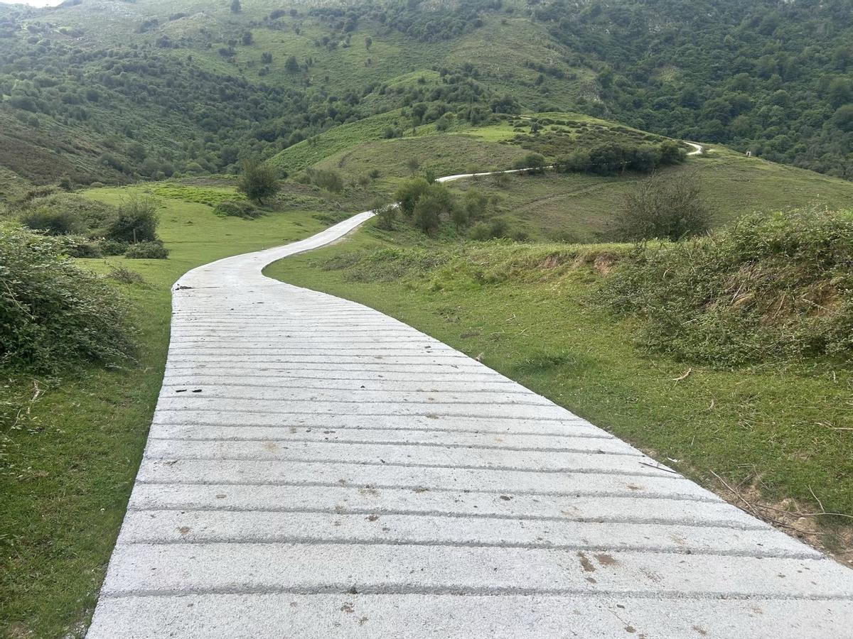 Camino reparado en un monte de utilidad pública.