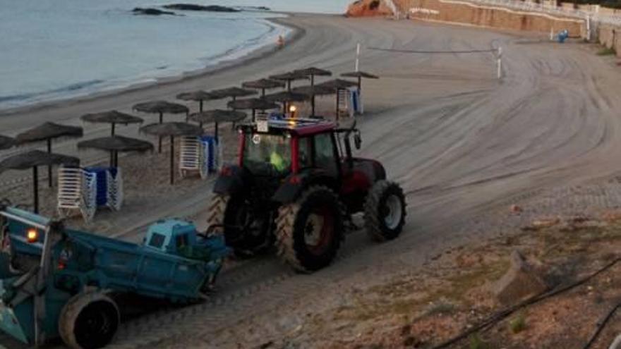 Un tractor durante las tareas de cribado en una playa de Orihuela.