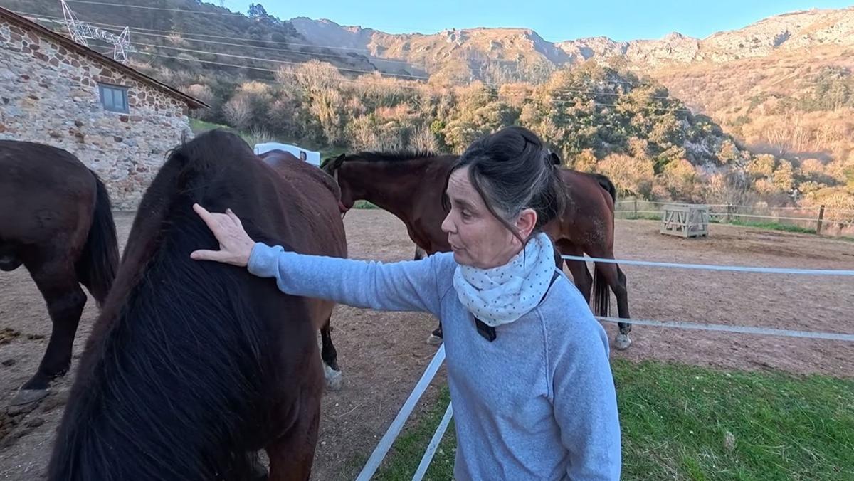 Sole mostrando los caballos mayores, que cuida en su establo.