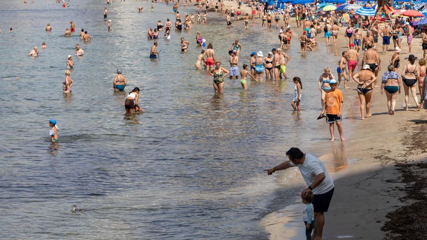 Así se controla la calidad del agua y las playas de Benidorm con el inicio del verano