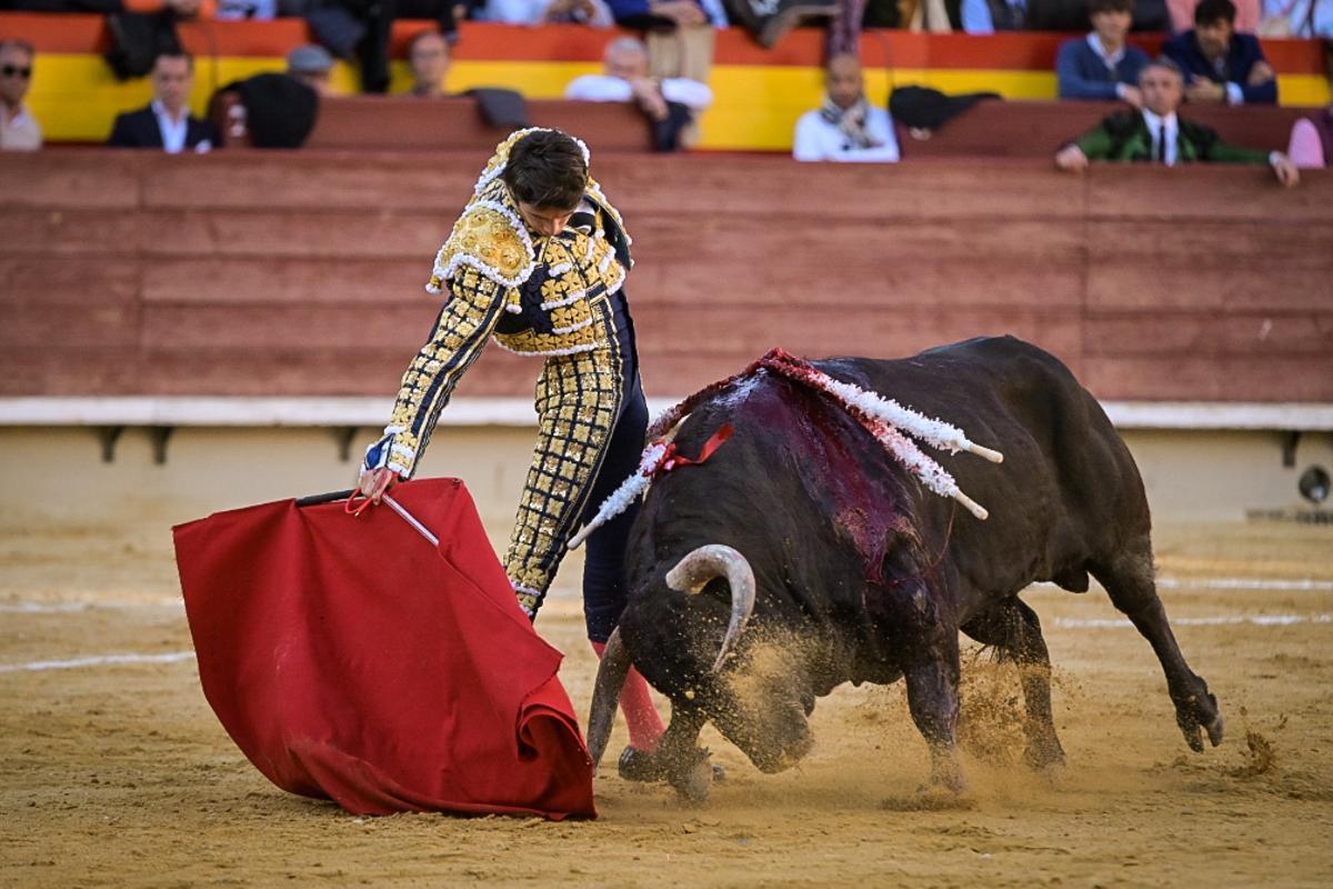 El quinto toro de Juan Pedro fue el único que embistió de verdad y Castella lo aprovechó para redondear la faena de la tarde.