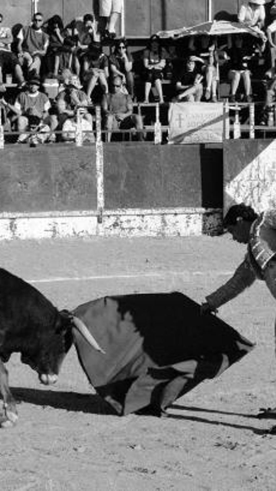 Días de toros, peñas y bailes - La Opinión de Zamora