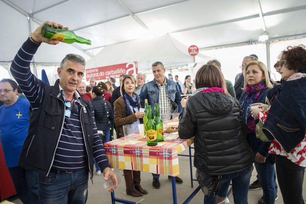 Magdalena 2019: Mesones del vino, de la cerveza y gastronómicos