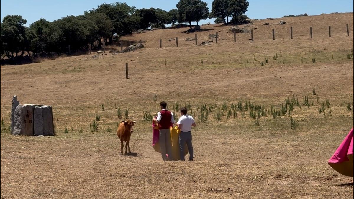 Las divertida imágenes de José Luis Martínez-Almeida toreando una vaquilla