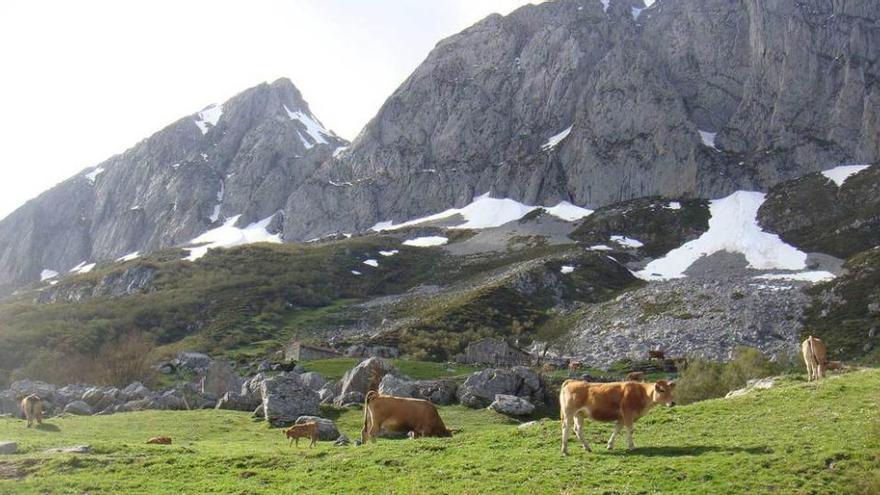 Un paisaje del puerto de San Isidro.