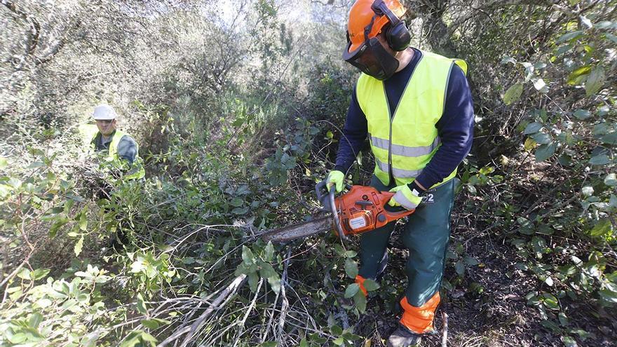 Comienzan las obras del cinturón verde en el entorno de Las Ermitas