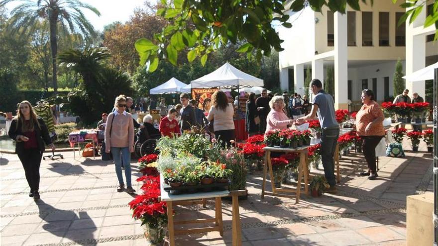 Este domingo, jornada de puertas abiertas en el Botánico