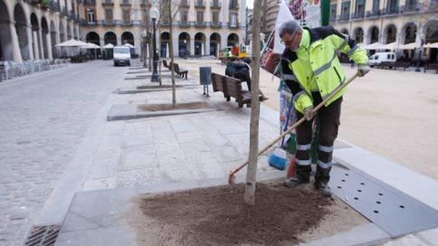 Un operari plantant arbres, fa uns anys, a la plaça Independència.