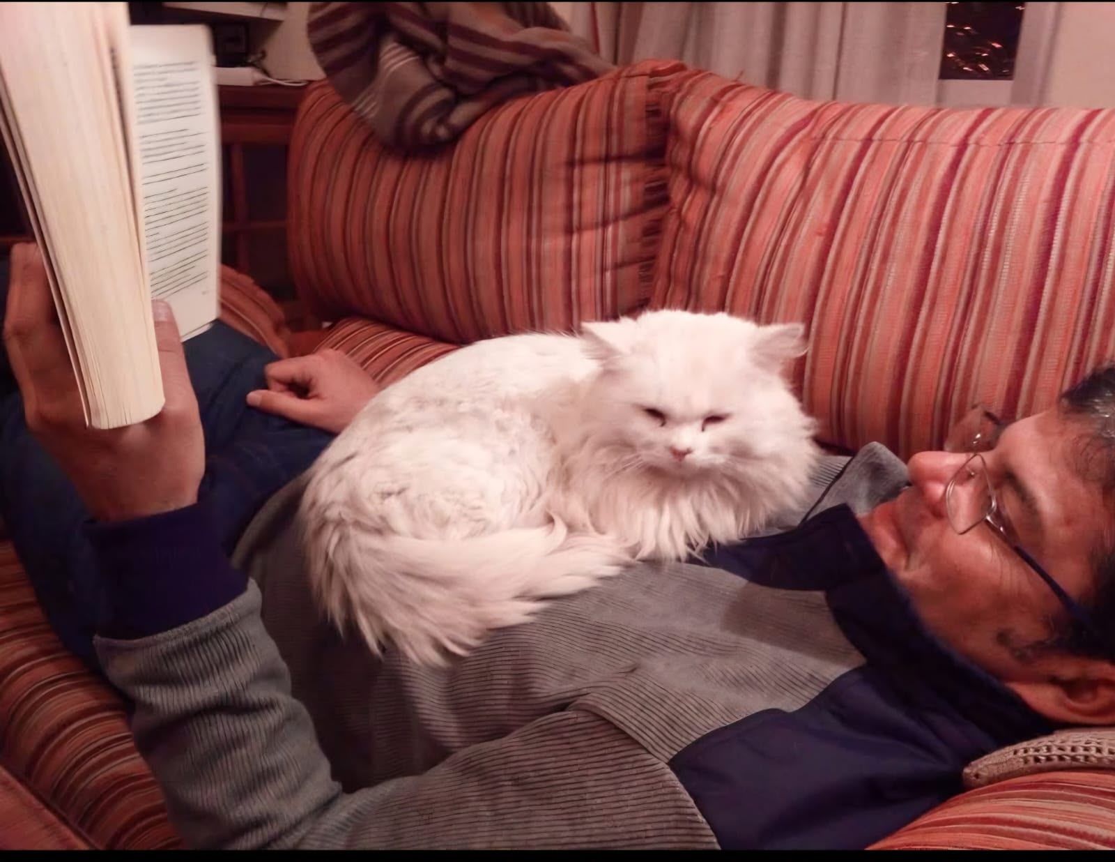 Un cordobés lee con su gato recostado sobre su cuerpo.