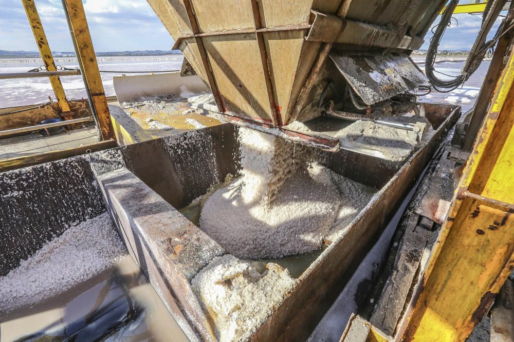 De la laguna de Torrevieja se puede extraer sal durante todo el año haciendo uso de una tecnología minera única