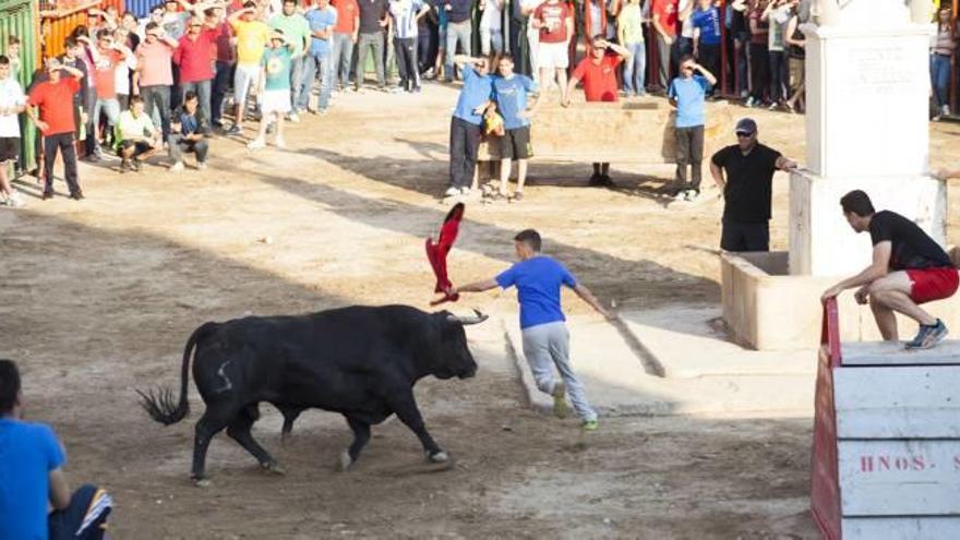 Cabanes apuesta por los toros