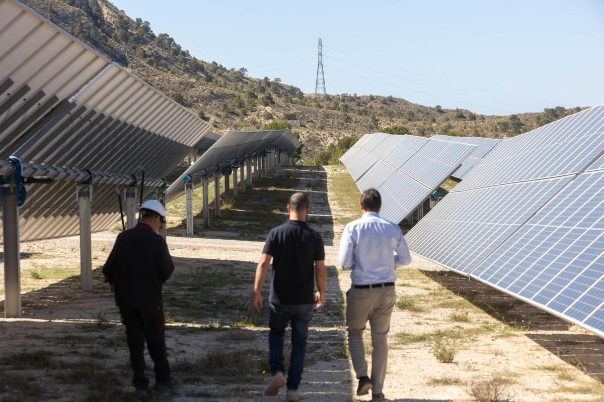Paneles solares en una planta de la Comunitat Valenciana.