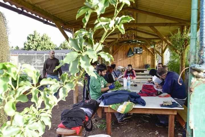 Visita escolar a la Granja Agricola del Cabildo