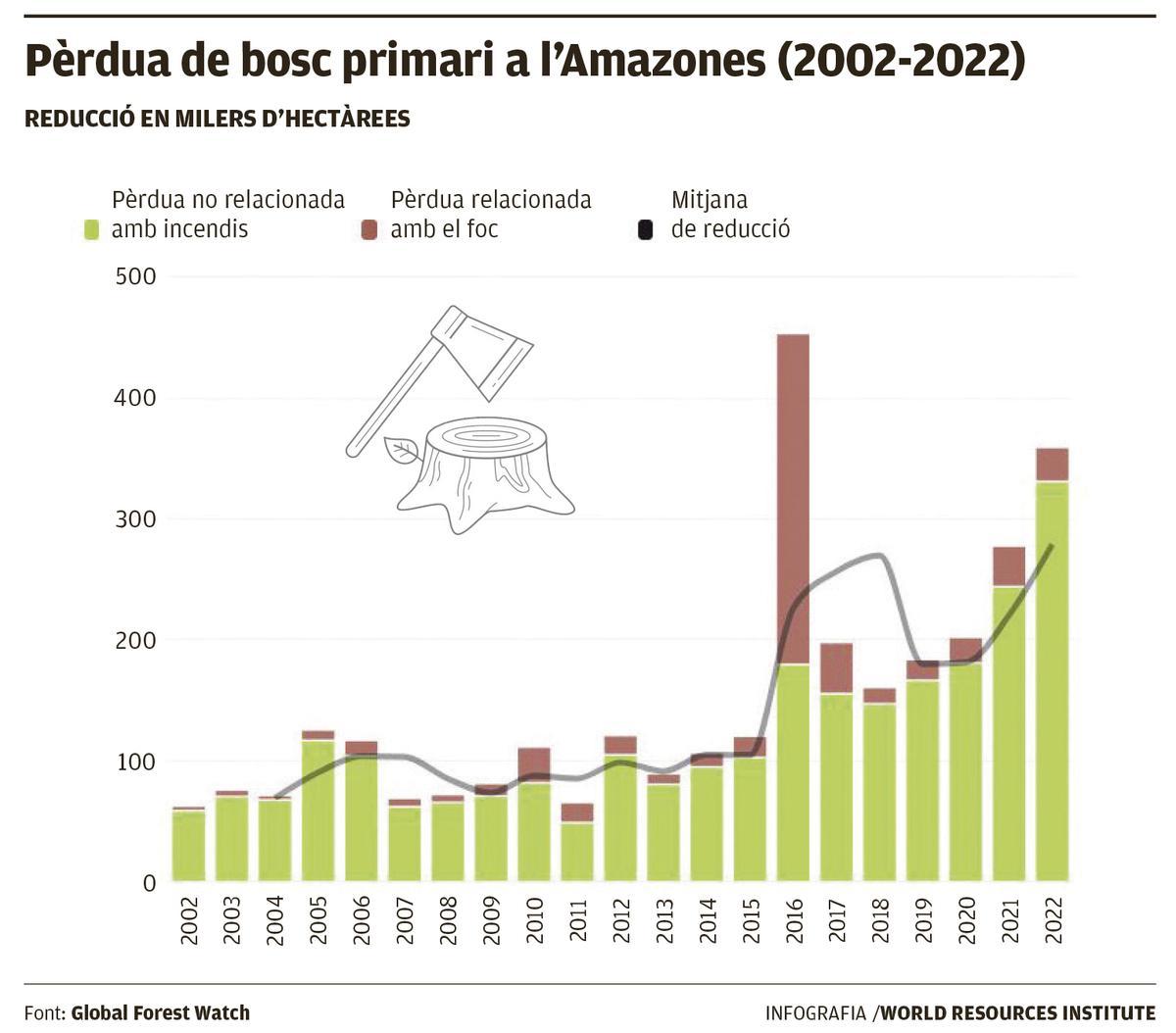 Pèrdua de bosc primari a l’Amazones (2002-2022)