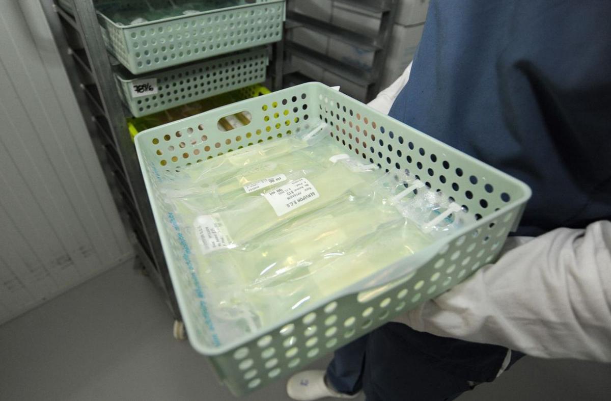 Las dosis almacenadas en una cámara
de refrigeración.| Bernabé/ Javier Lalín