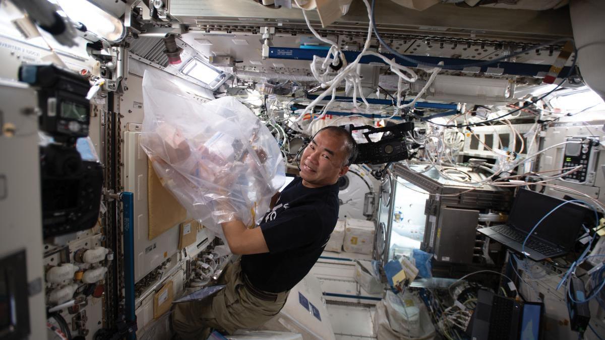 El astronauta de la JAXA Soichi Noguchi trabaja en la bolsa de guantes en un experimento de cristalización de proteínas a temperatura moderada.