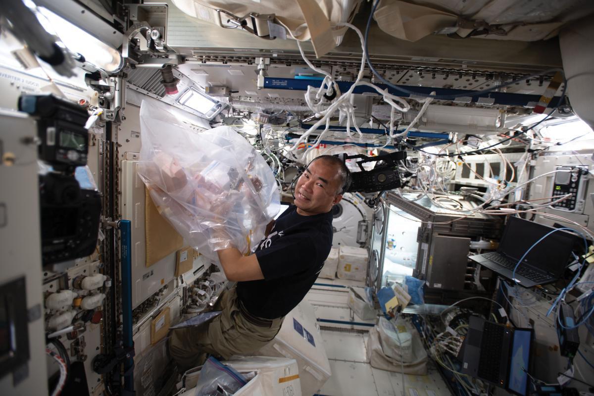El astronauta de la JAXA Soichi Noguchi trabaja en la bolsa de guantes en un experimento de cristalización de proteínas a temperatura moderada.