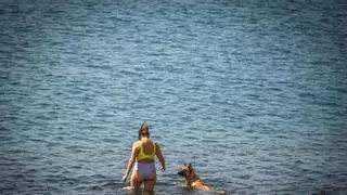 La asociación de vecinos El Pescador impulsa la regeneración del frente marítimo de San Andrés con la playa de Hoya Fría