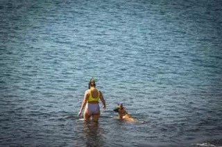 Un día de verano en San Andrés
