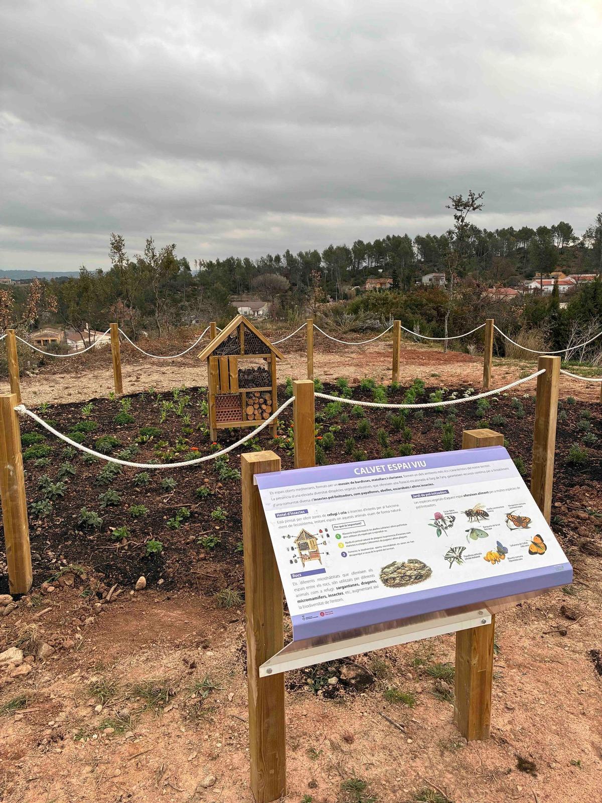 Instal·lacions de la nova zona
