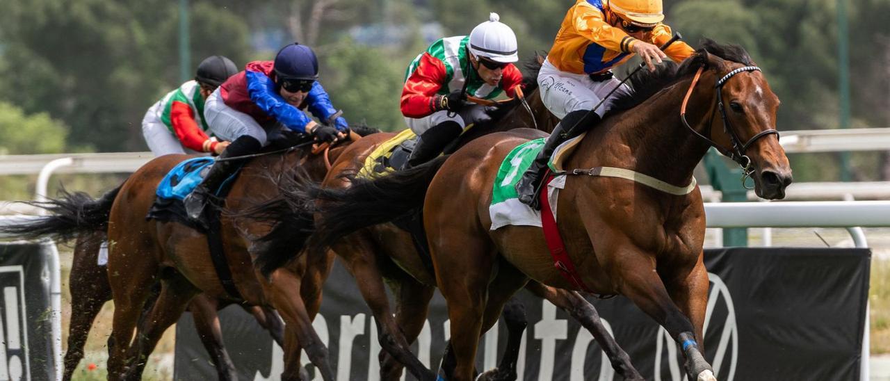 ‘Great Prospector’ (5), de la cuadra Malow Gran Canaria, a la cabeza del Premio San Isidro con la monta de Ricardo Sousa, en el Hipódromo de La Zarzuela. |